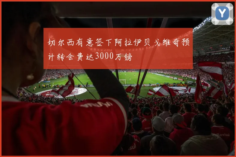 切尔西有意签下阿拉伊贝戈维奇预计转会费达3000万镑